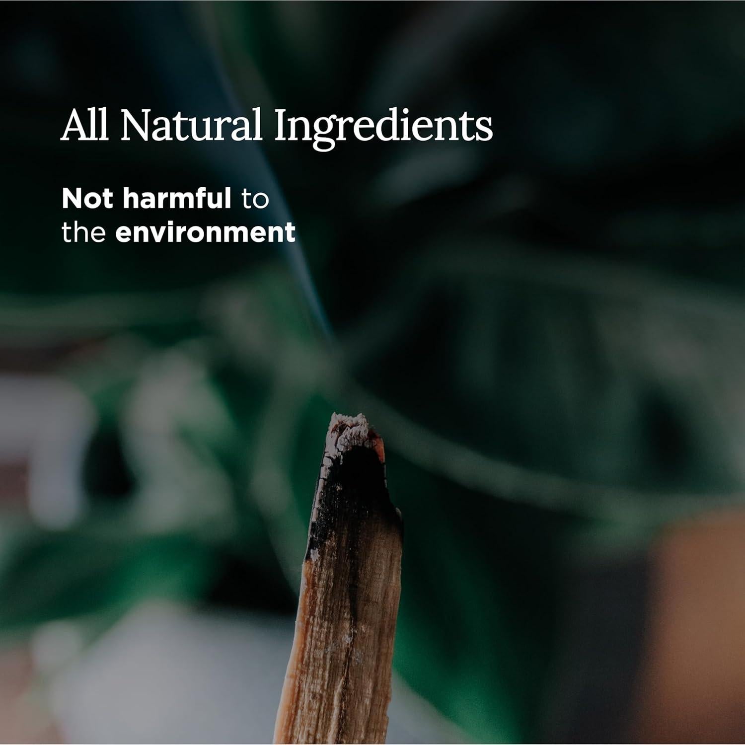 Vela Aromática Magnífico 101 170g Cera de Soja 35h Quema