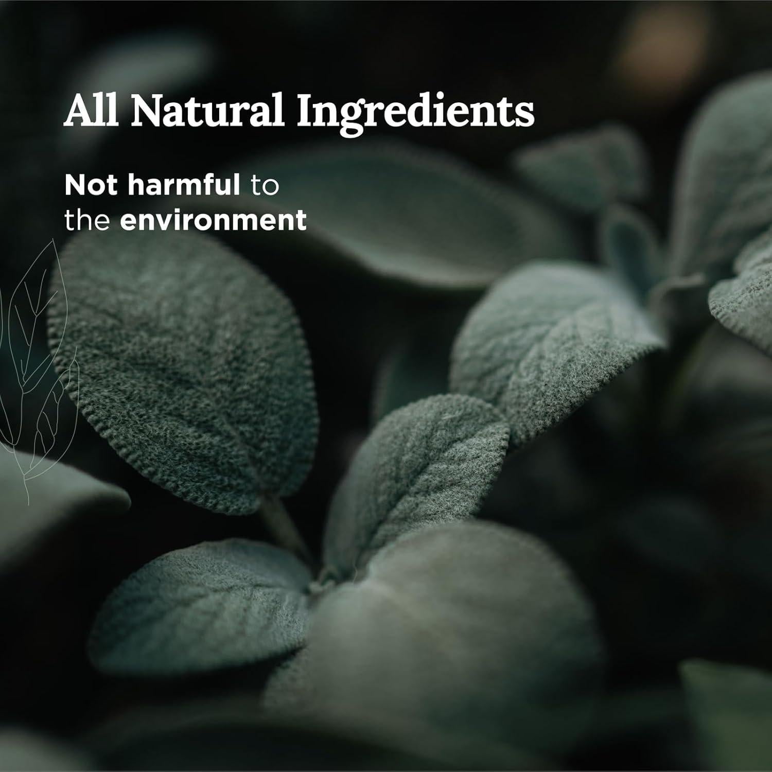 Vela Aromática Salvia Blanca The Sunny Factory 6 Oz 35 Horas