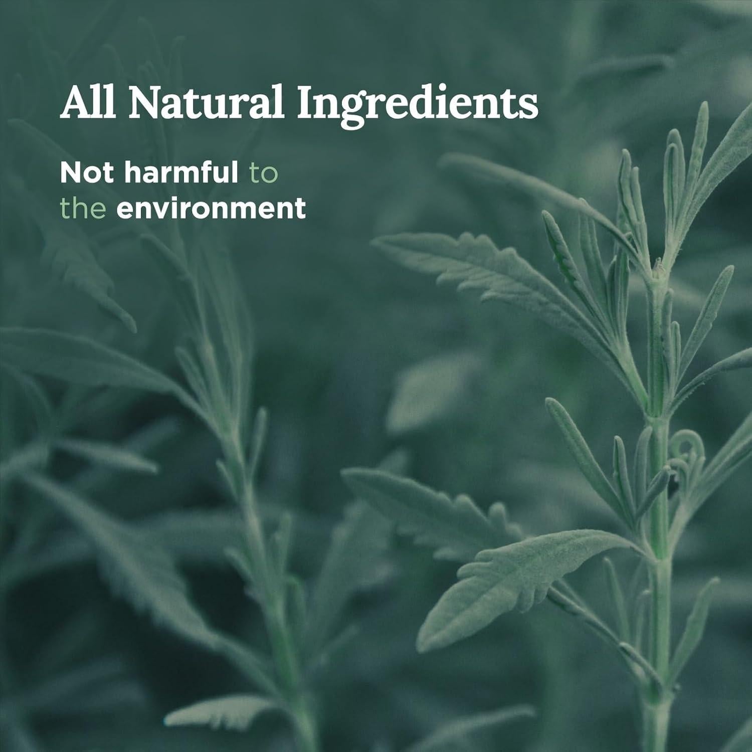 Vela de Limpieza Energética Salvia Pura Magnífico 101 170g