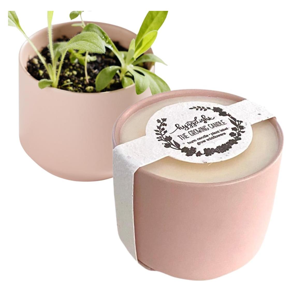 Vela aromática Hyggelight Adelyn 8 oz sándalo vainilla