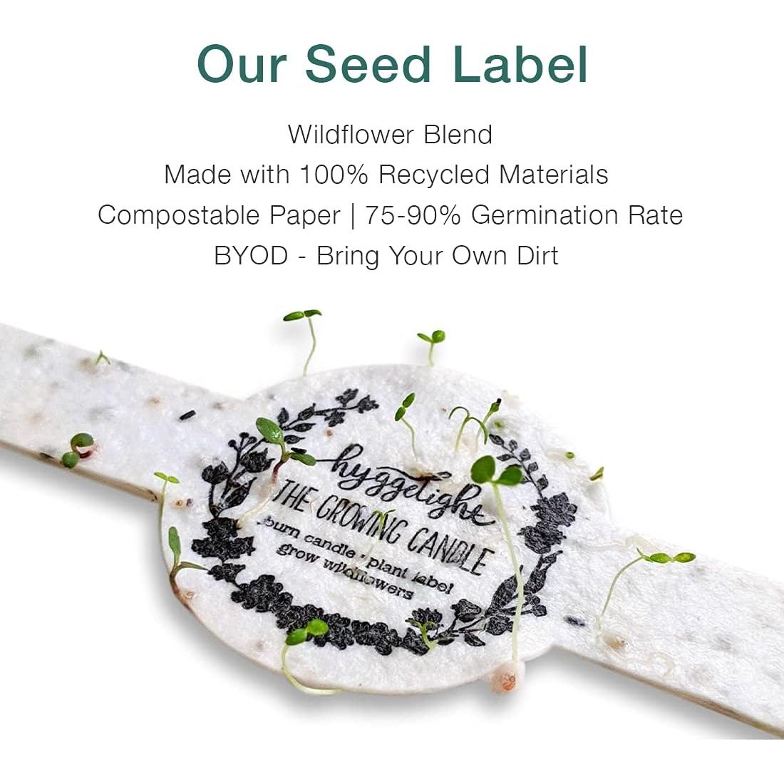 Vela aromática Hyggelight Adelyn 8 oz sándalo vainilla