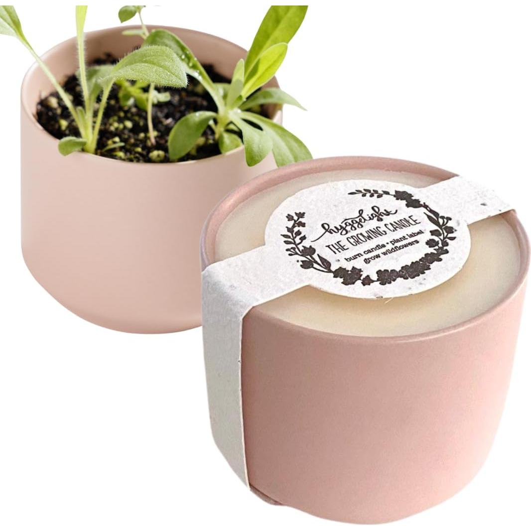 Vela aromática Hyggelight Adelyn 8 oz sándalo vainilla