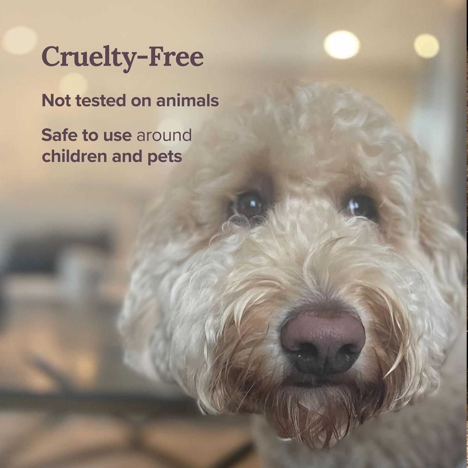 Vela Aromática Love Struck The Sunny Factory 170g 30h