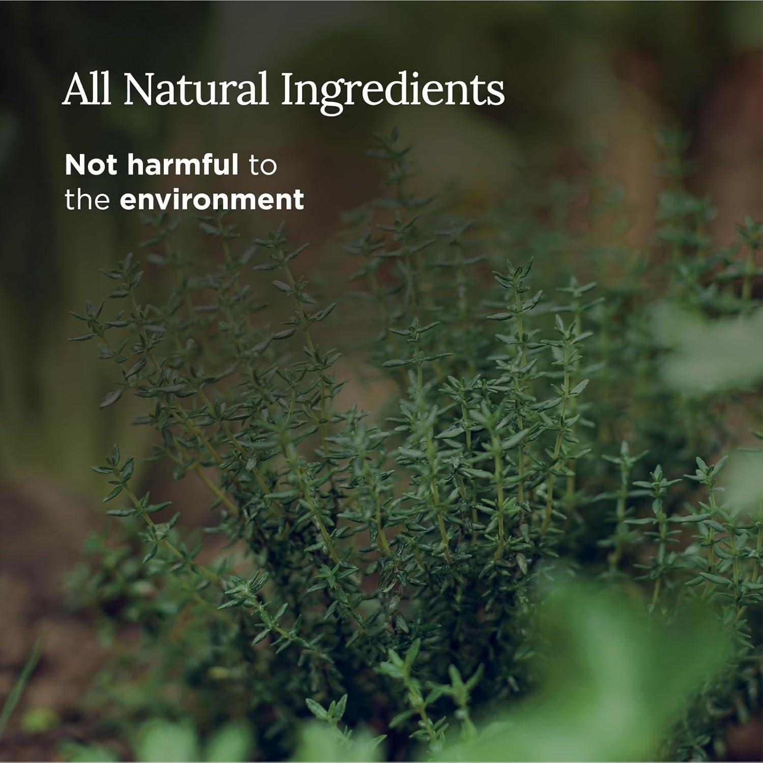 Set de 3 Velas Aromáticas Magnífico 101 - Cera de Soja 42h