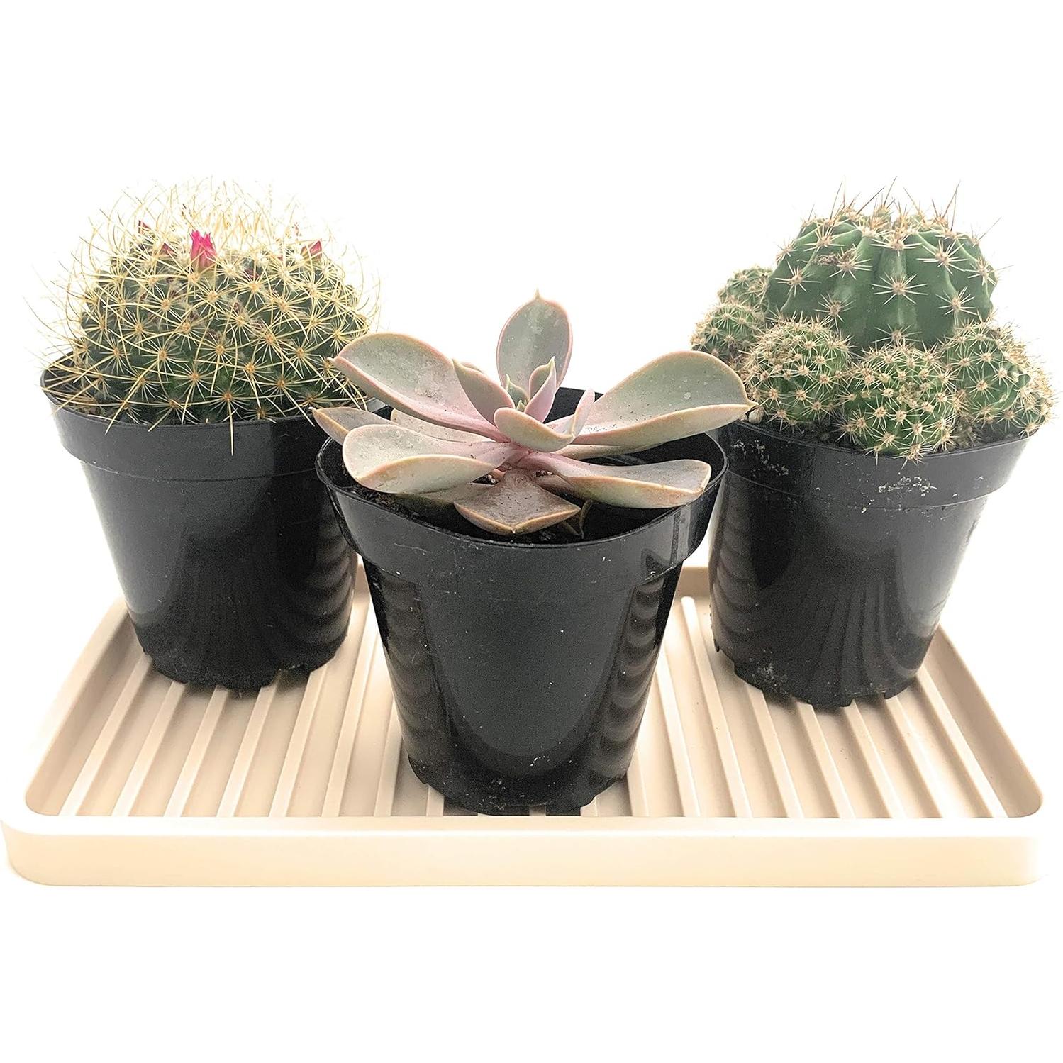 Bandeja Organizadora de Fregadero Happitasa Silicona 25x13 cm