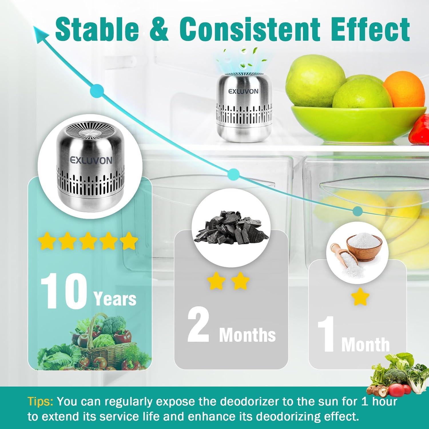 Desodorante de Refrigerador Exluvon 10 Años Ecológico Plata