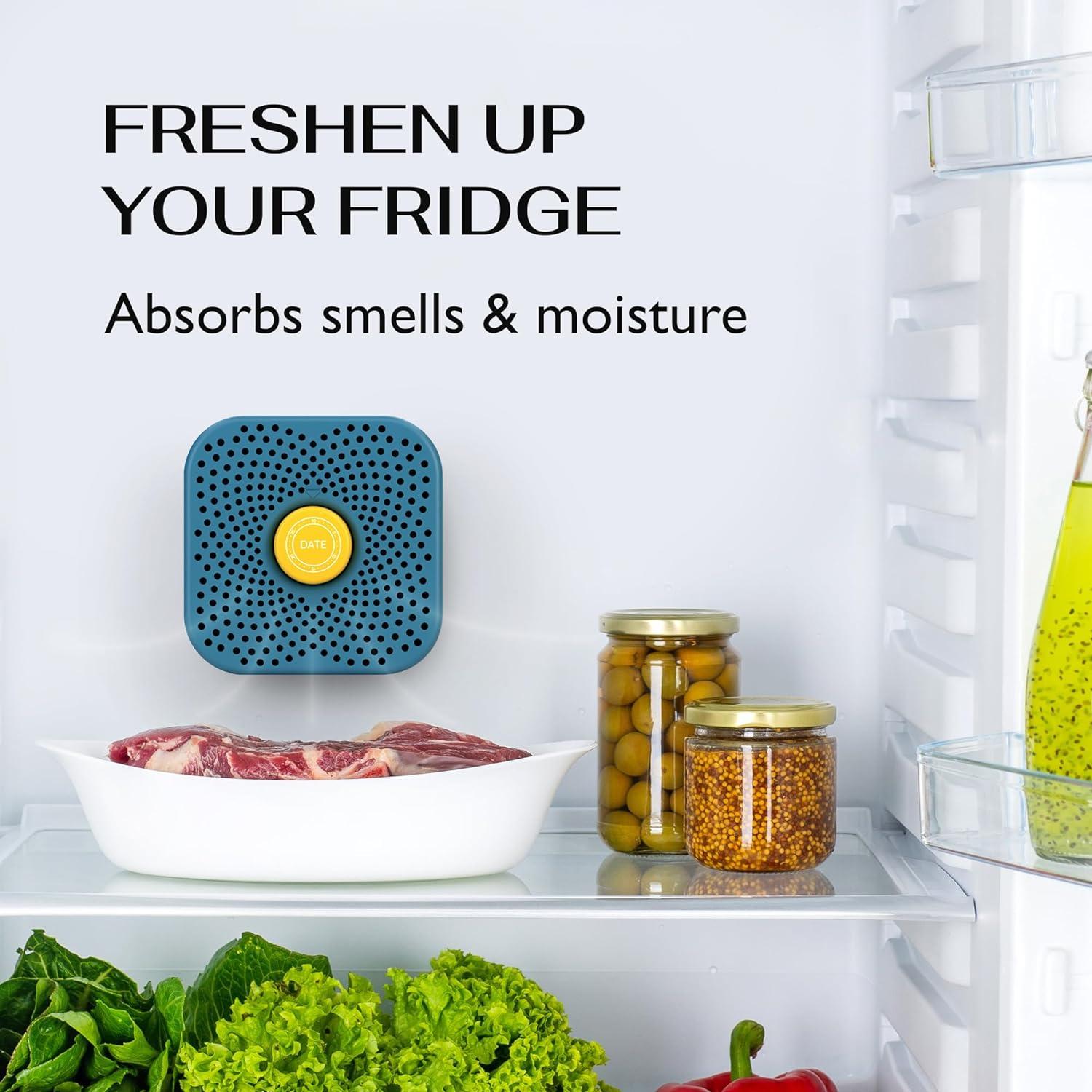 Desodorante de Nevera ZenAir - Eliminador de Olores Natural 10.16 cm