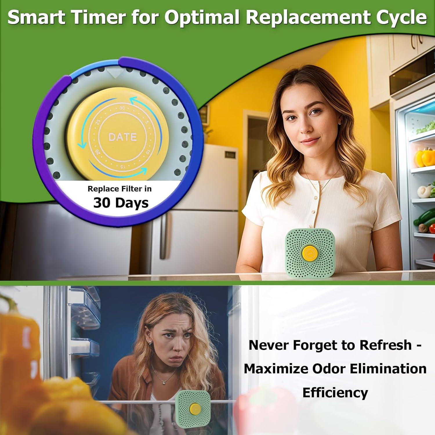 Desodorante para Refrigerador HomieFuture Zeolita 11cm