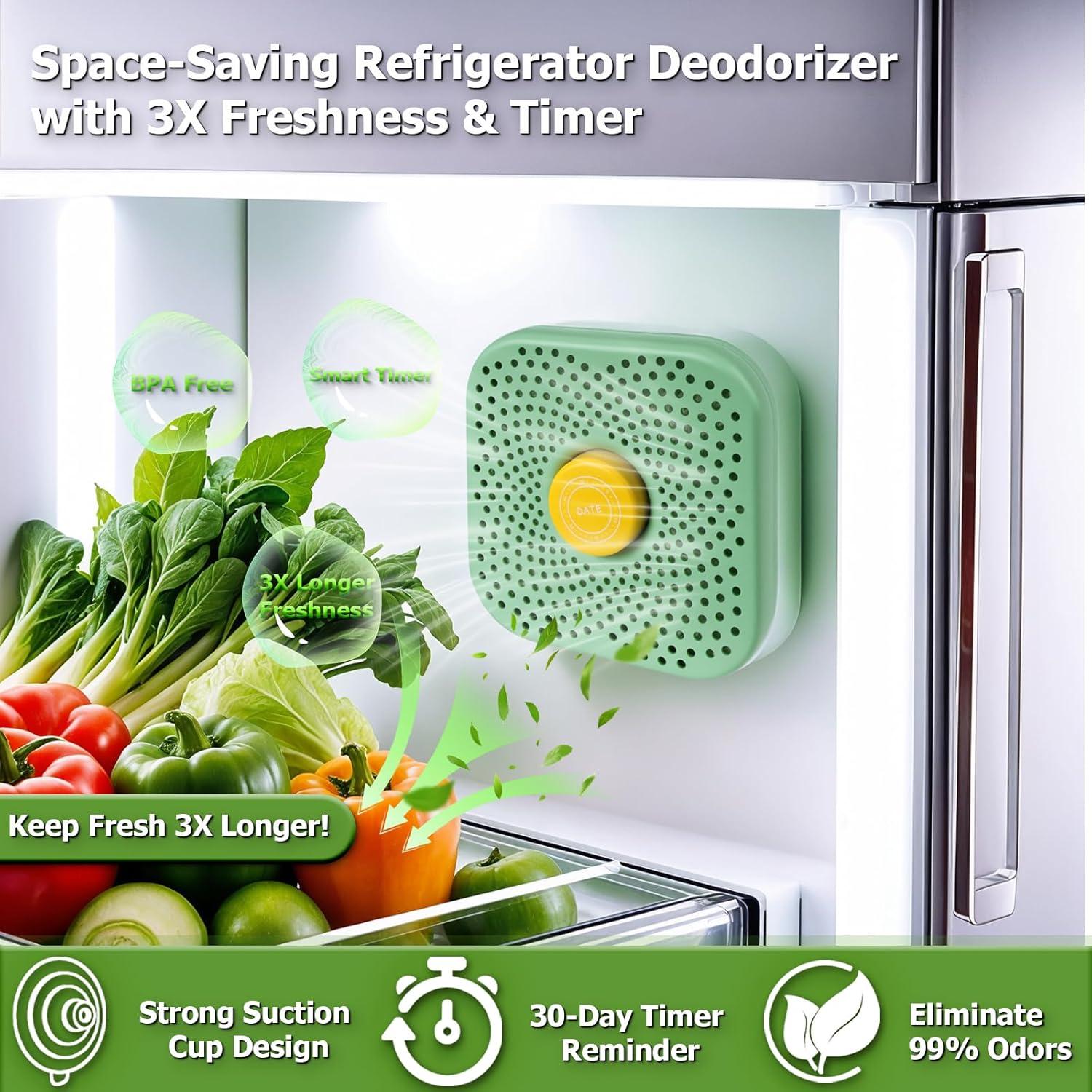 Desodorante para Refrigerador HomieFuture Zeolita 11cm