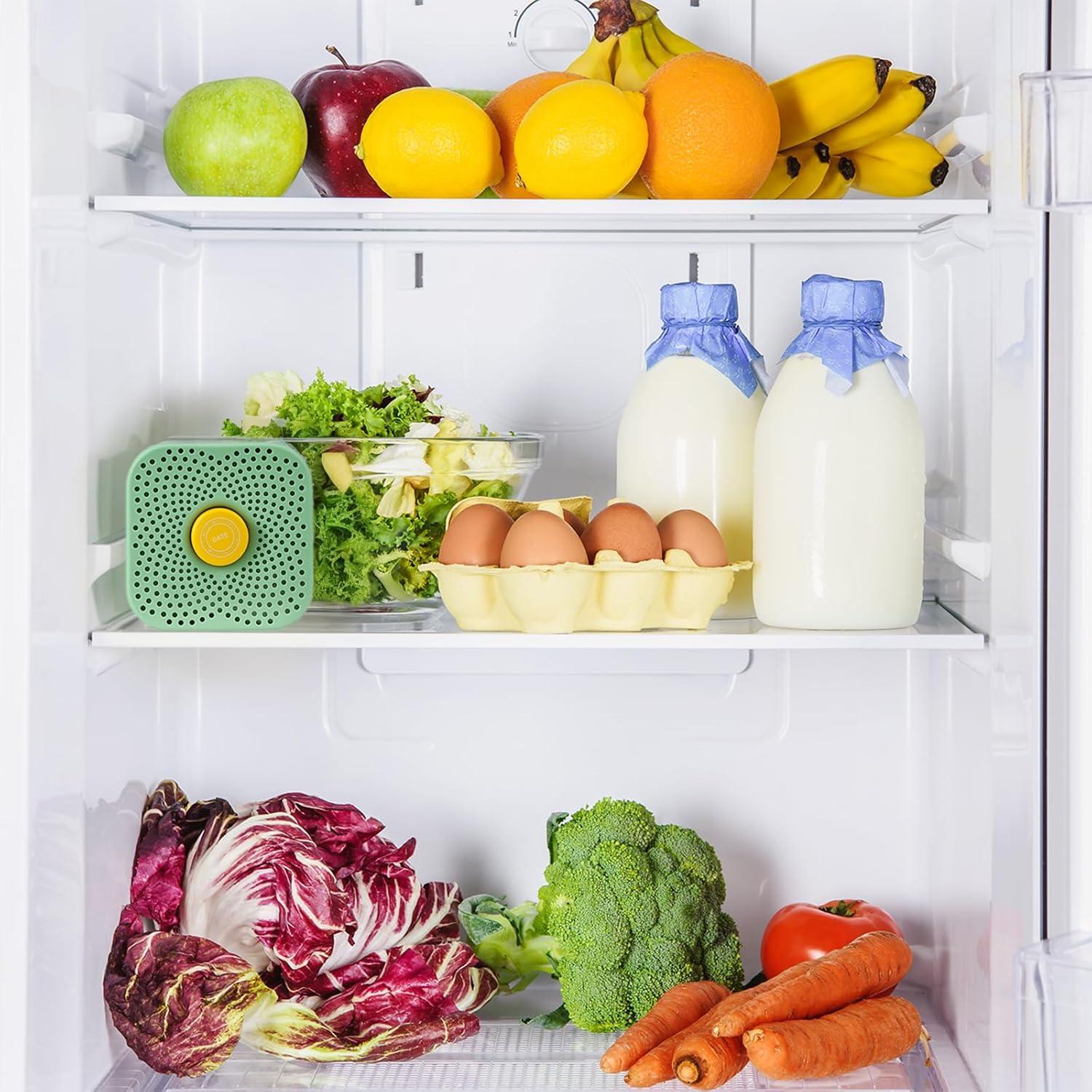 Desodorante para Refrigerador HomieFuture Zeolita 11cm