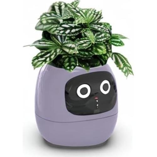 Maceta Inteligente PLANTSIO Ivy con Riego Automático