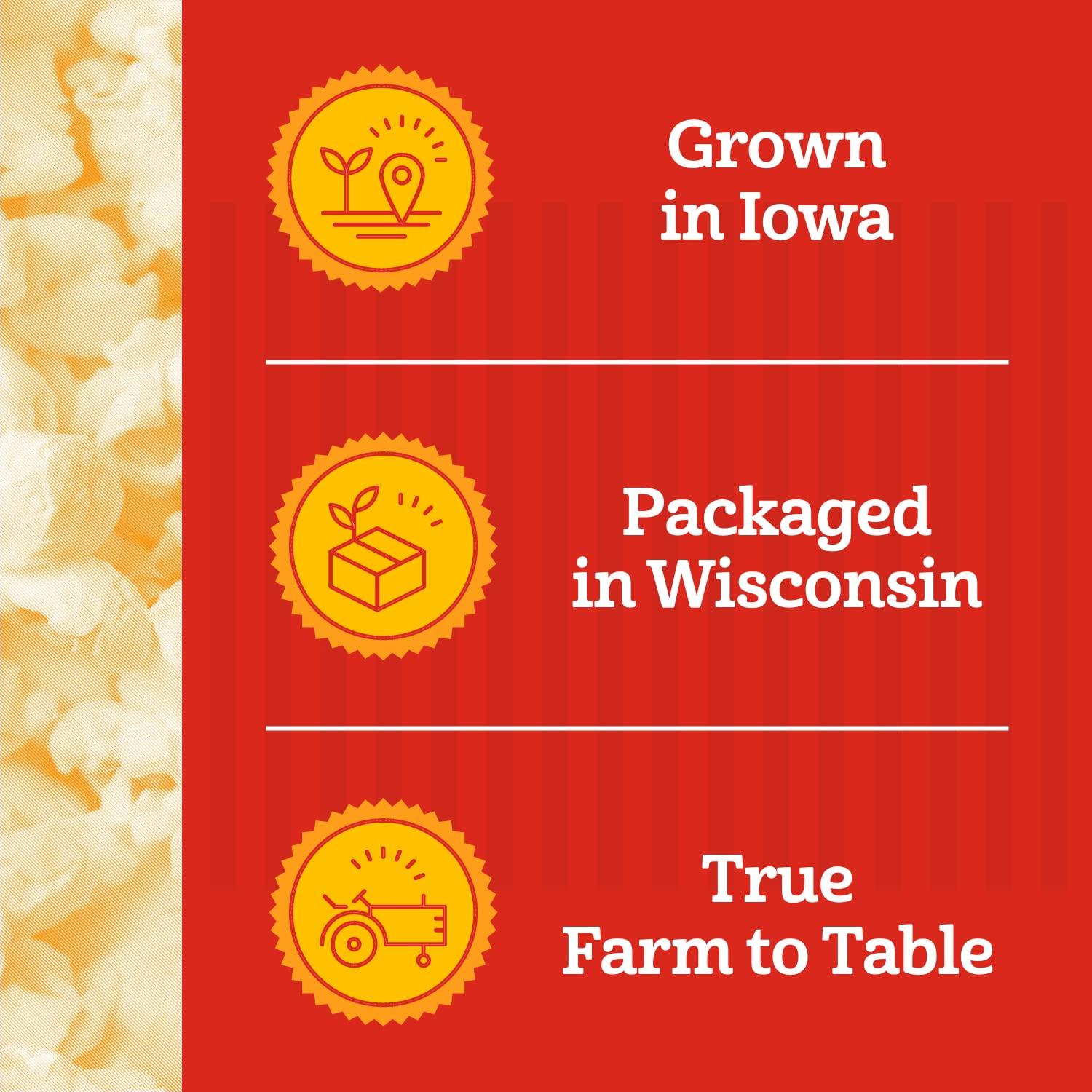 Paquete de Palomitas Gourmet Franklin 10x226g Clásico