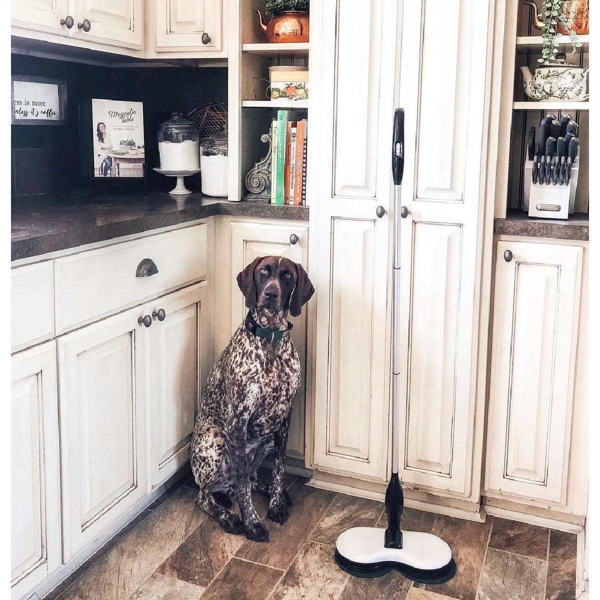 Mopa eléctrica KOJEO G26 sin cable para pisos 1,27 kg