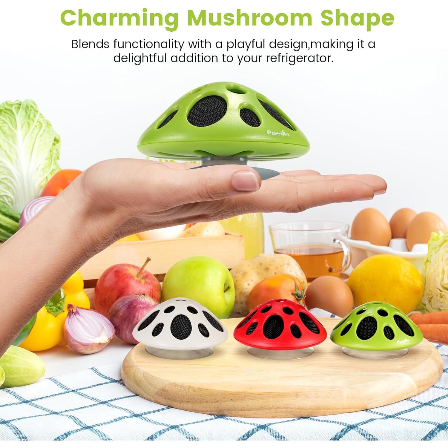 Desodorante de Nevera Toprain PUR2, Efectivo 10 Años, Sin Fragancia