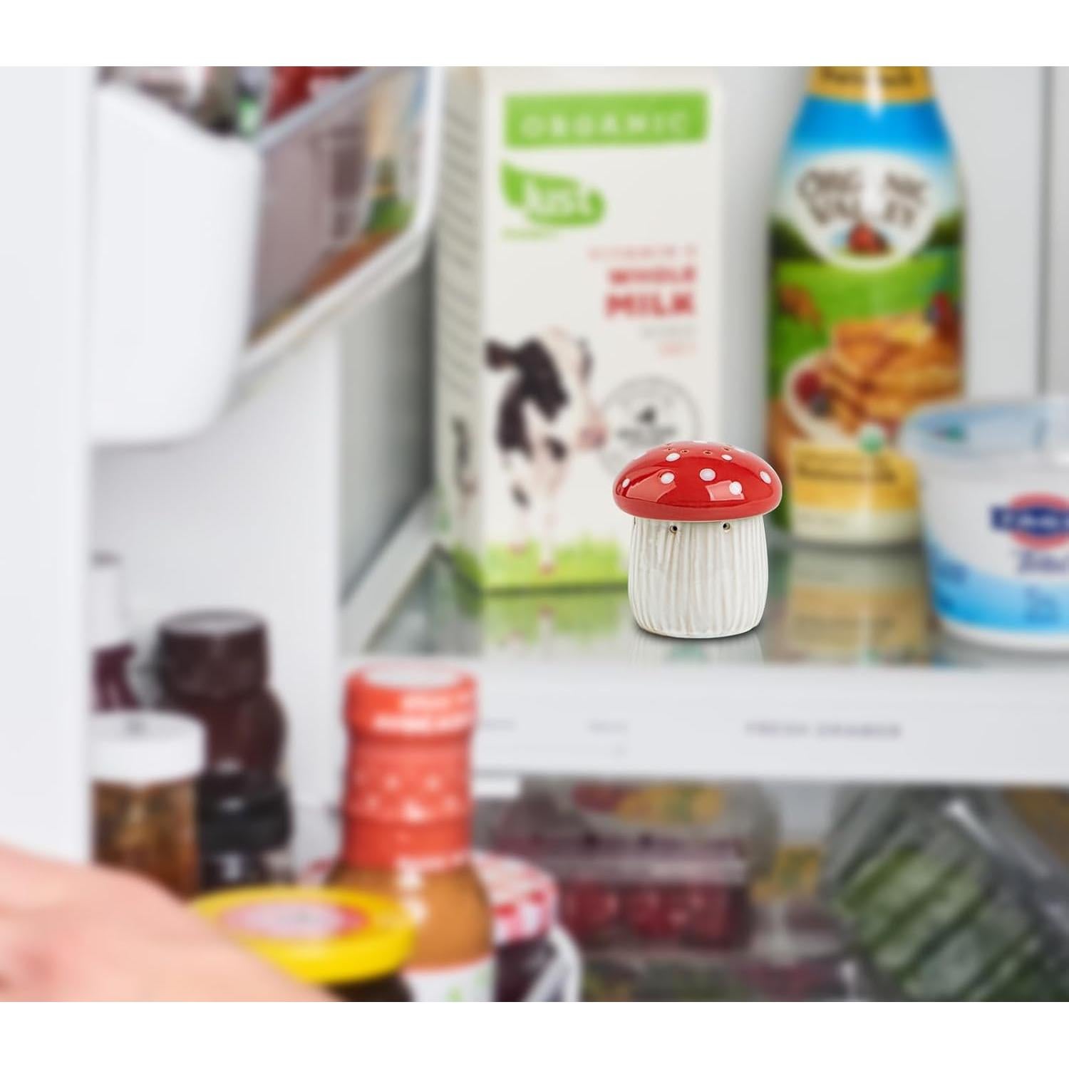 Soporte de Bicarbonato de Sodio Hongo Cerámica Refrigerador