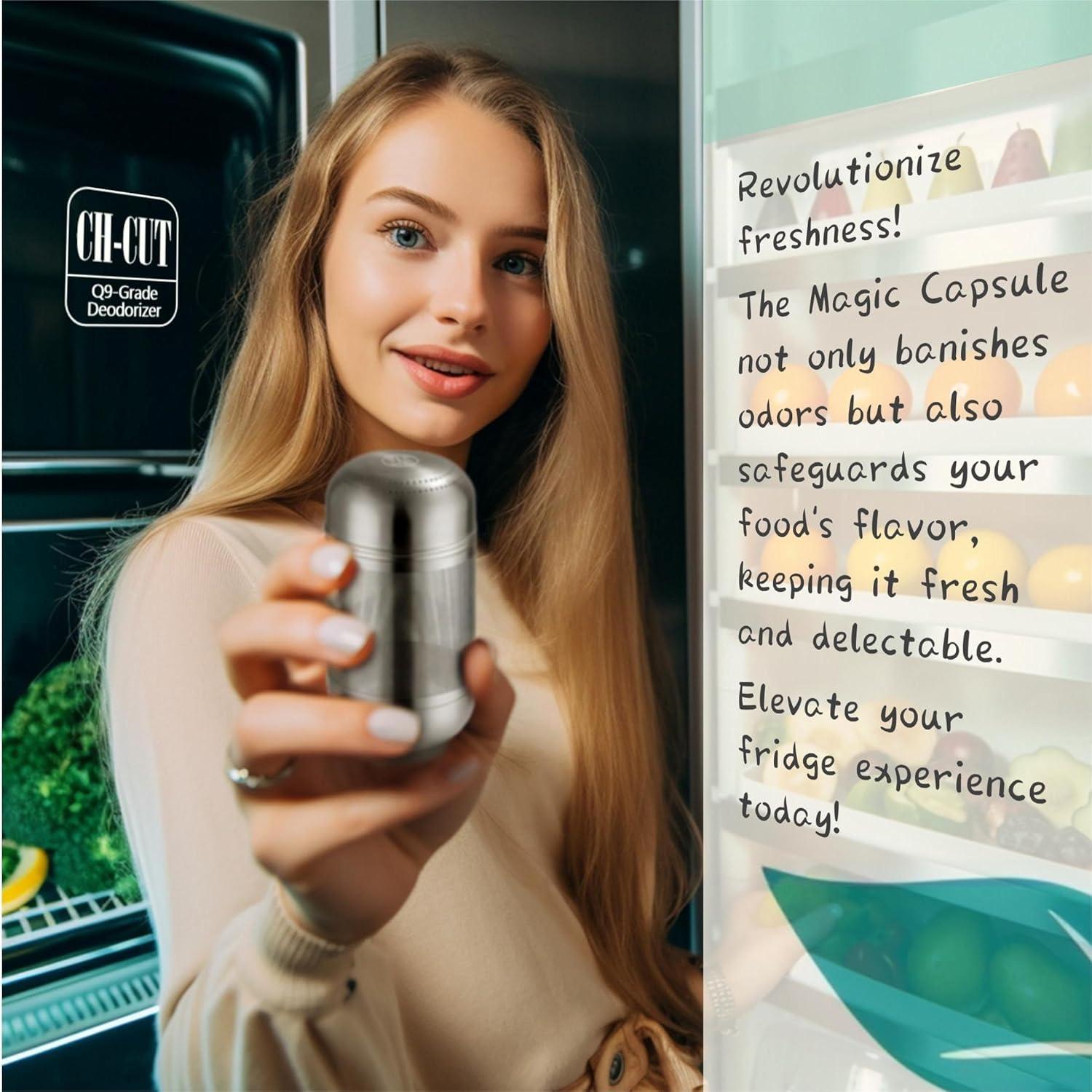 Desodorante de Refrigerador DILEXBEE Q9 Acero Inoxidable 10 Años