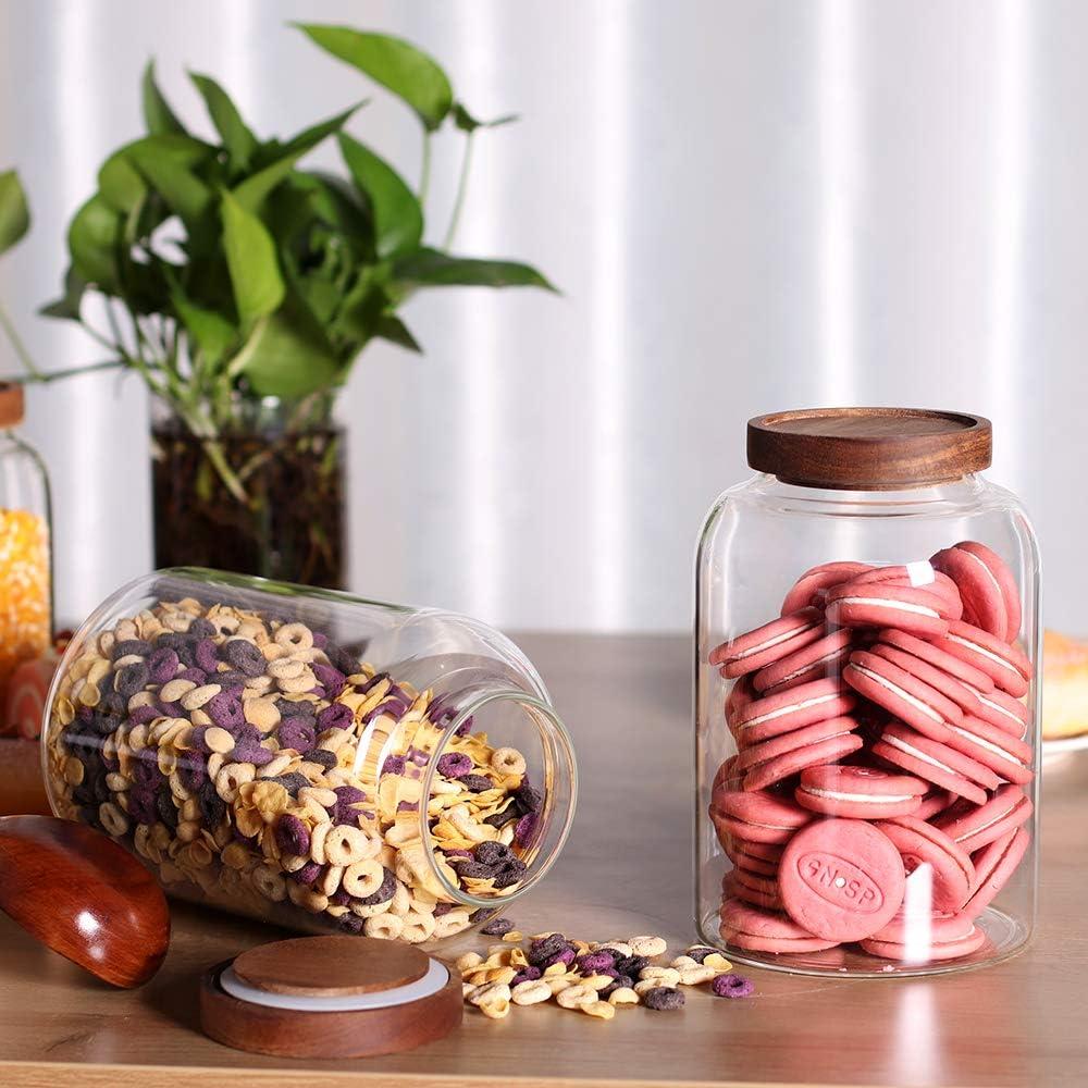 Tarros de Almacenamiento de Vidrio Leaves and Trees 2 Piezas