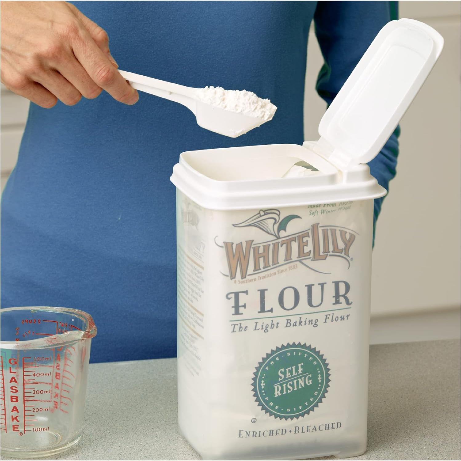 Contenedor de Alimentos Buddeez 3.75L con Cucharón