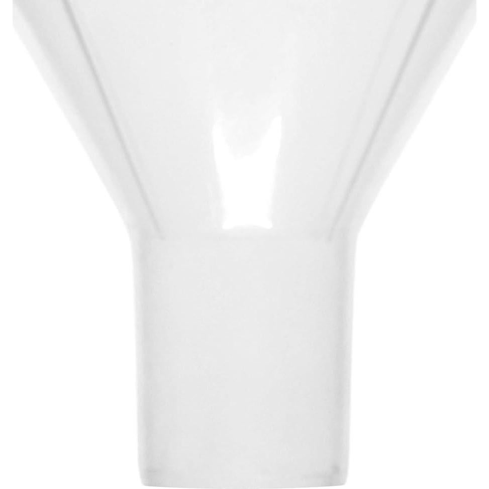 Embudo de Polvo EISCO 150mm Plástico Resistente a Ácidos