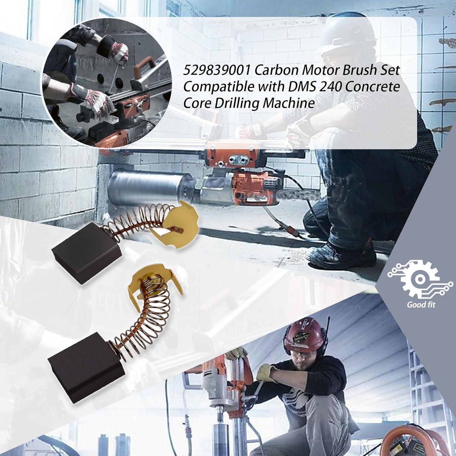 Juego de Cepillos de Carbón XTPTFABS Compatible DMS 240