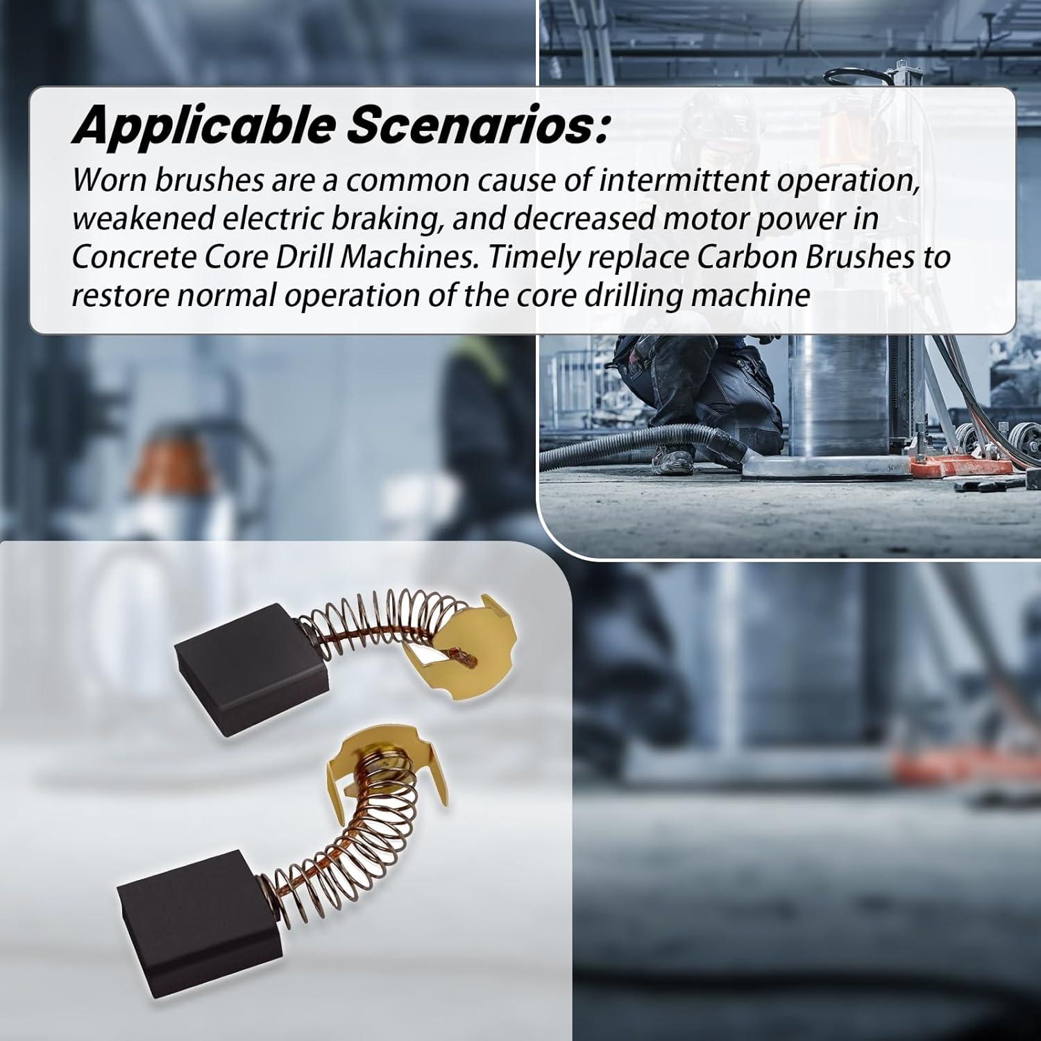 Juego de Cepillos de Carbón XTPTFABS Compatible DMS 240