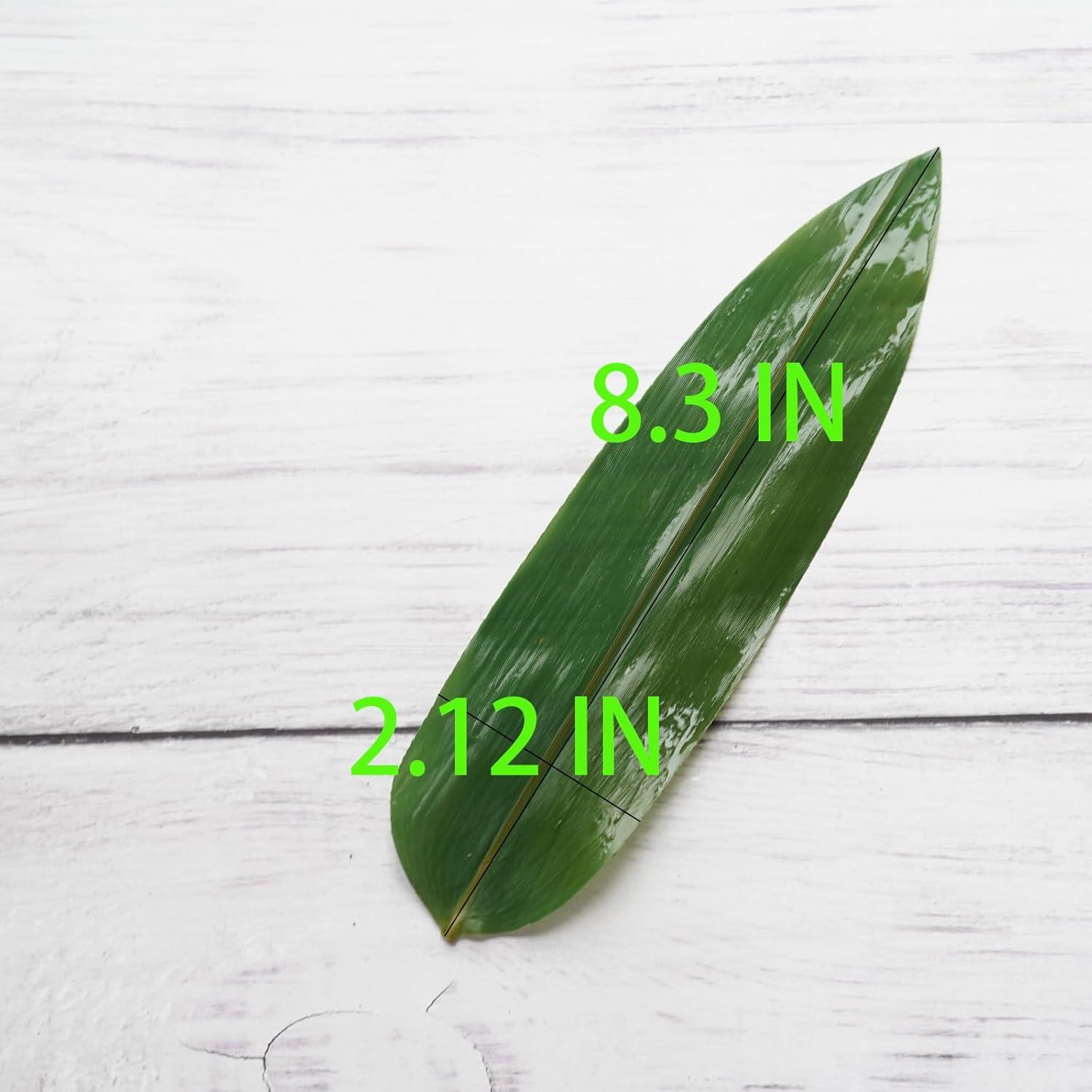 Hojas de Bambú Recortadas Rainlily Wen 100 Pcs 21x5 cm