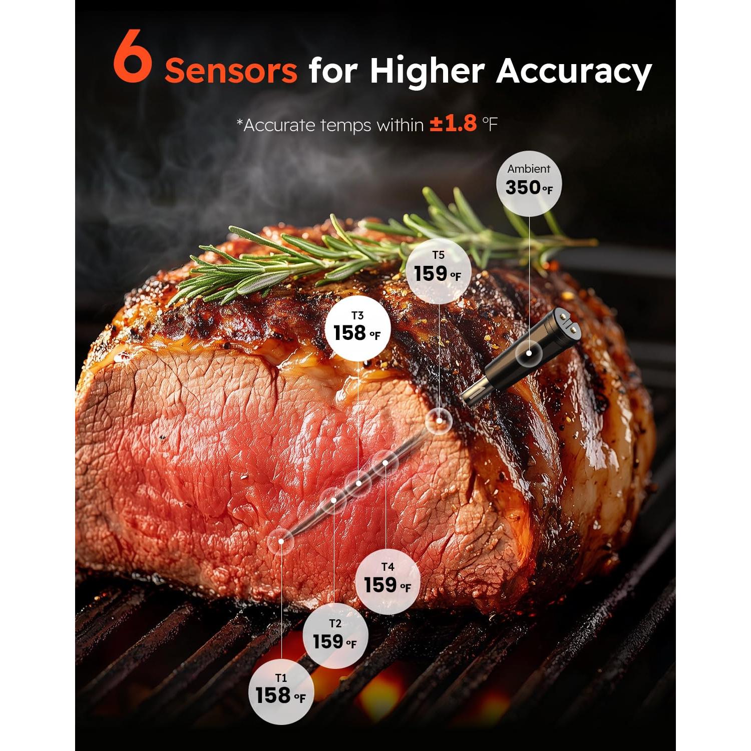 Termómetro Digital Inalámbrico AYMDKI FM2205 con App, 2 Sondas, IP67