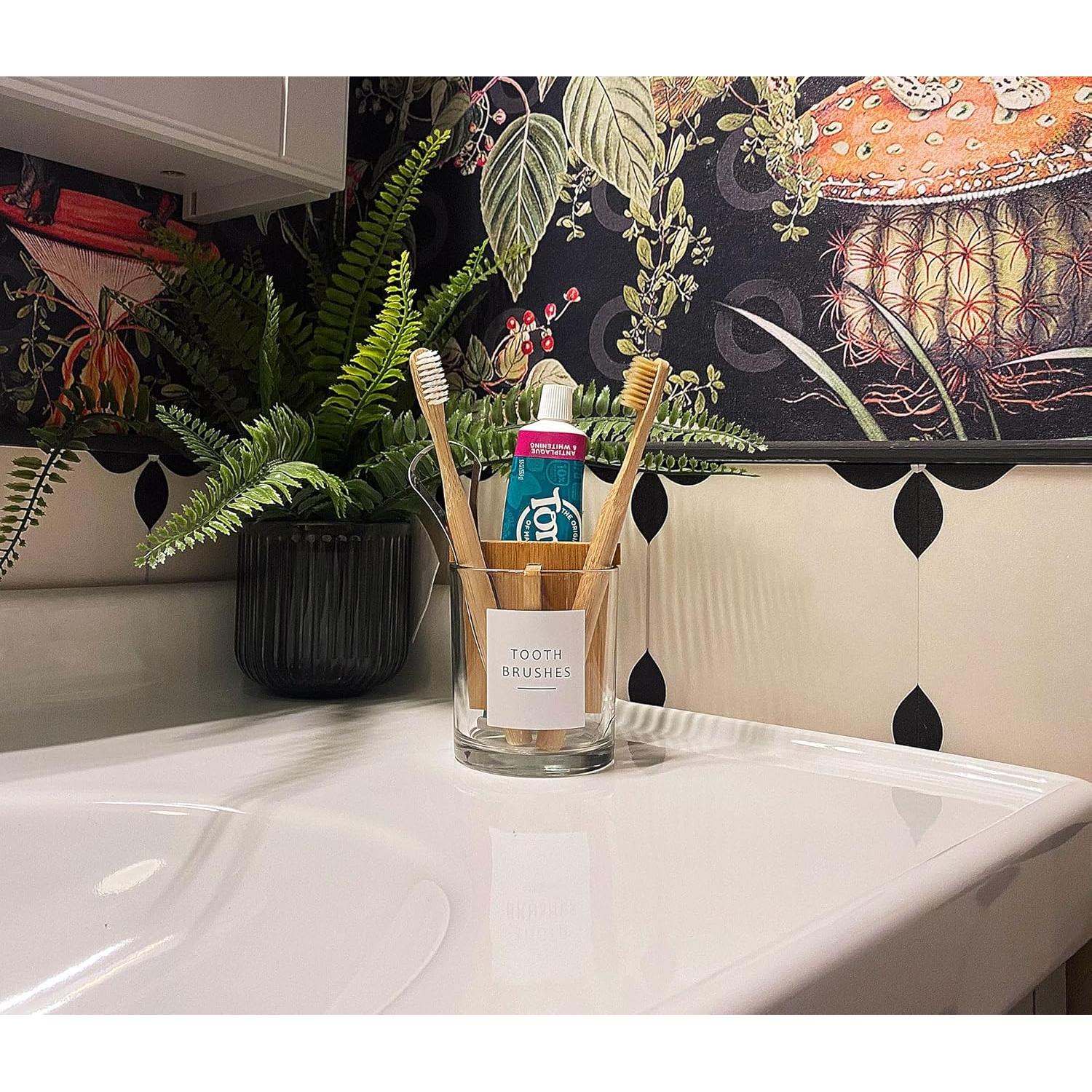 Soporte de Cepillo y Pasta de Dientes Vidrio Grueso Onsogi