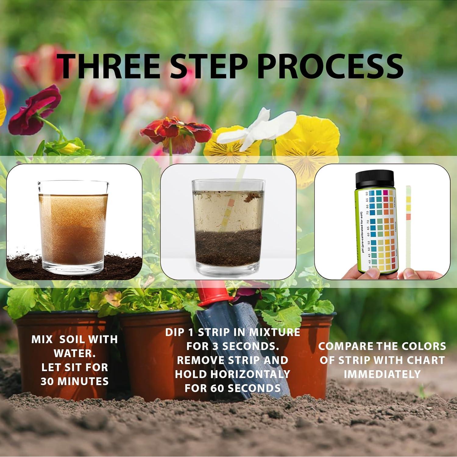 Kit de Prueba de pH del Suelo Dewildetradingco - 100 Tiras