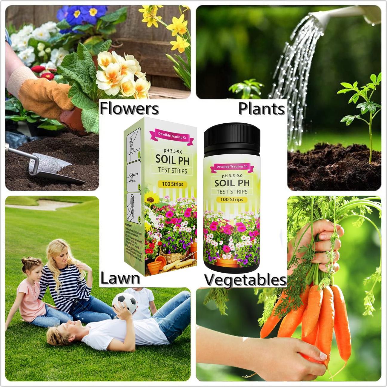 Kit de Prueba de pH del Suelo Dewildetradingco - 100 Tiras