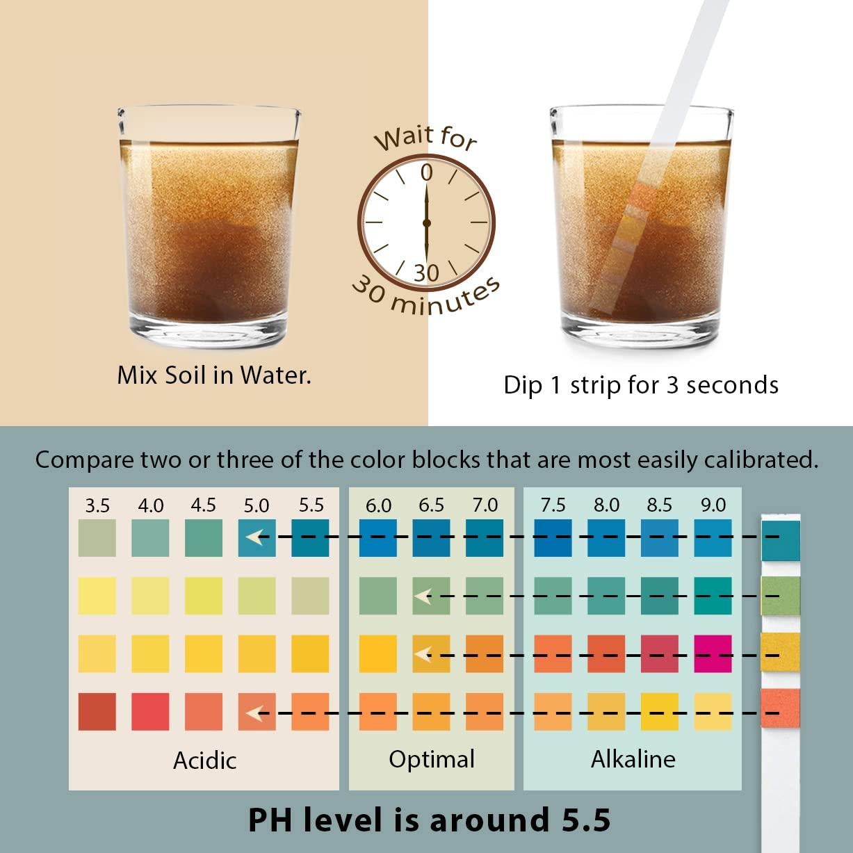 Kit de Prueba de pH del Suelo Dewildetradingco - 100 Tiras