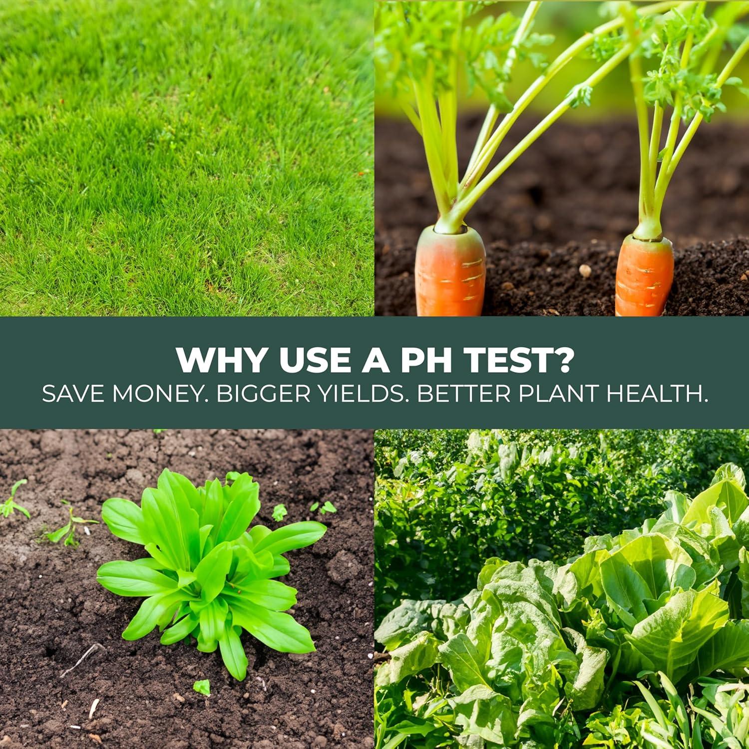 Kit de Prueba de pH del Suelo Window Garden 100 Tiras