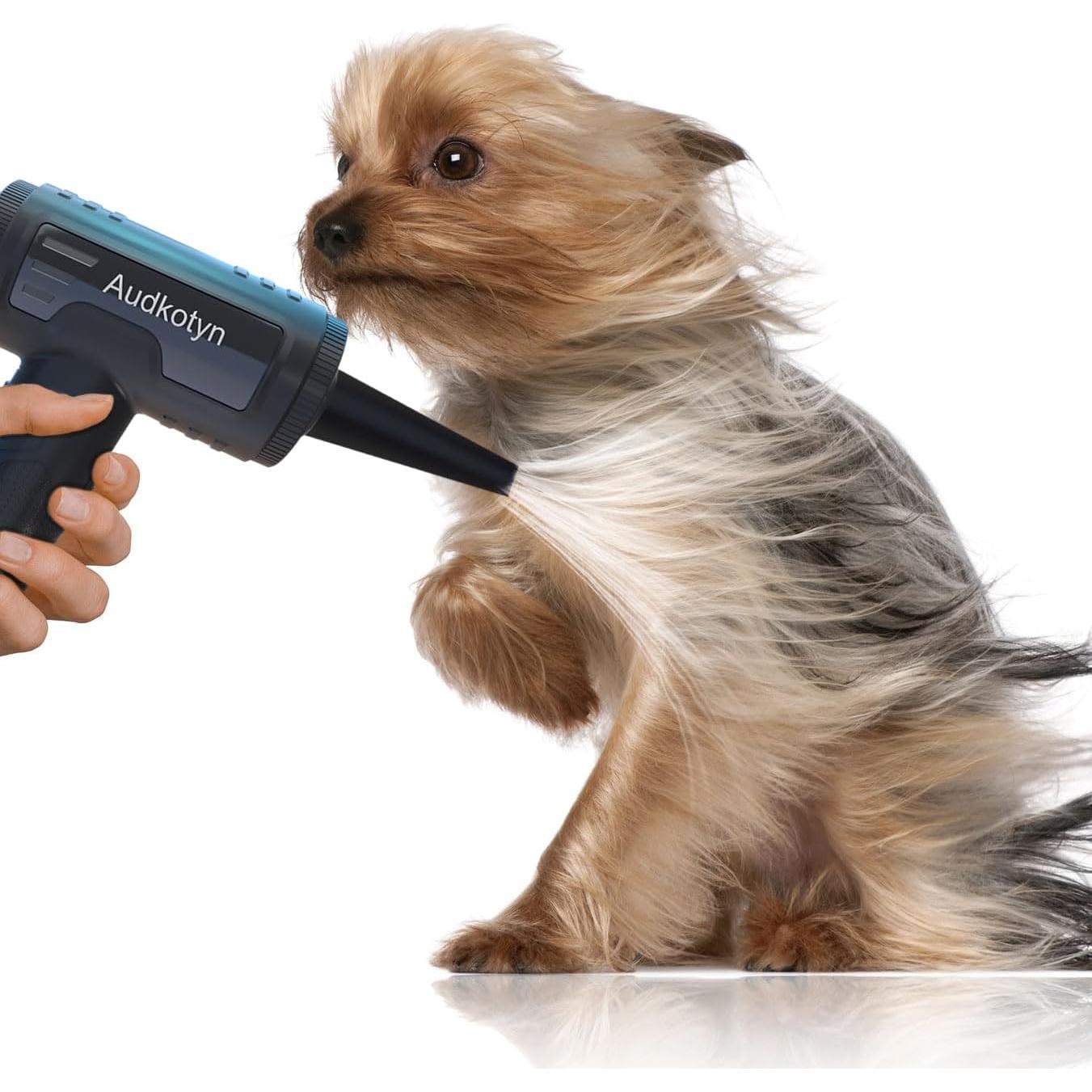 Soplador de Aire Comprimido Audkotyn 250-550W Negro