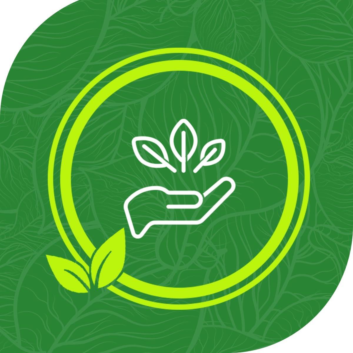 Rollos de Sellado al Vacío EverFresh 29x7m Paquete de 4