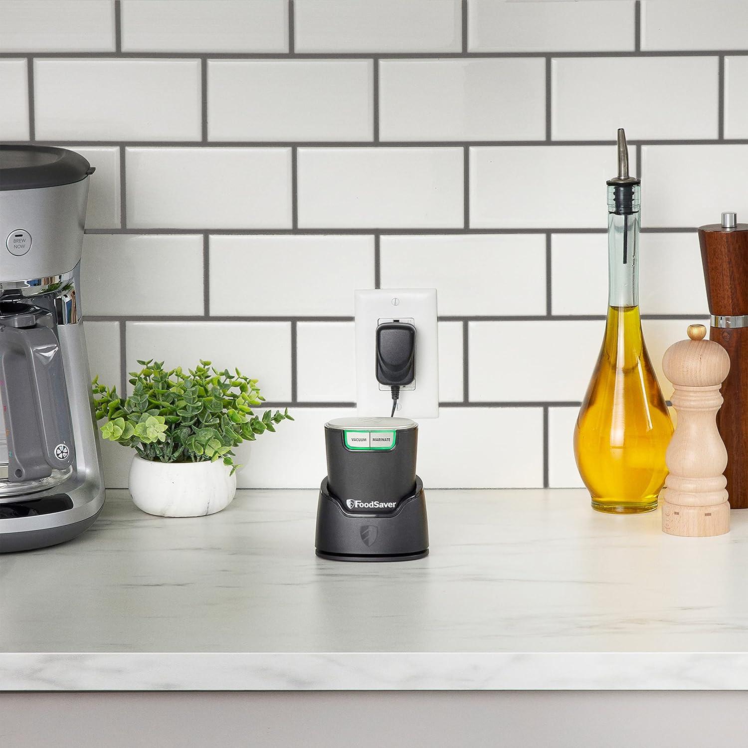 Sellador al Vacío Portátil FoodSaver FS2160 130W Compacto