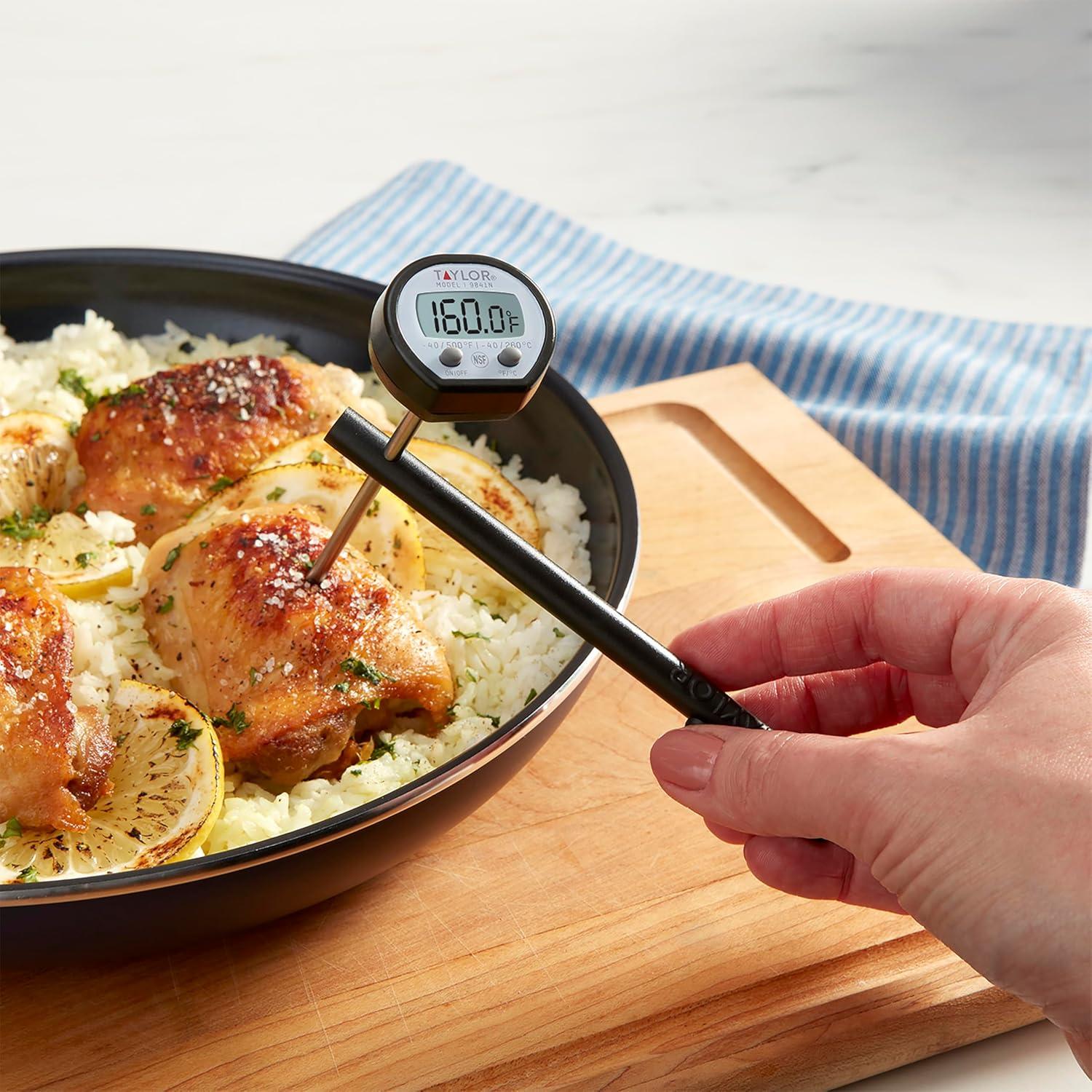 Termómetro Digital de Lectura Instantánea Taylor 260°C
