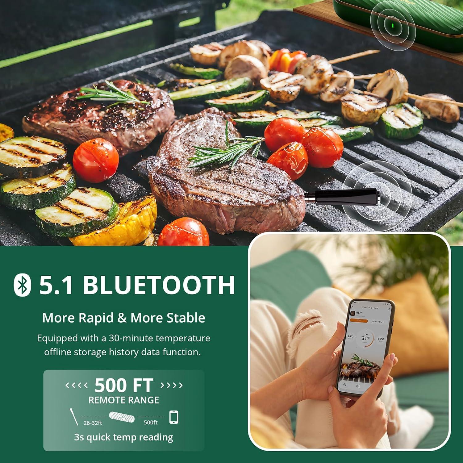 Termómetro de Carne Inalámbrico CharMeter Verde Bluetooth 500m