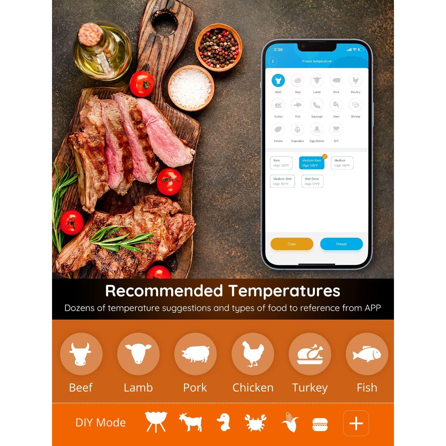Termómetro de Carne Inalámbrico Govee H5198 4 Sondas WiFi