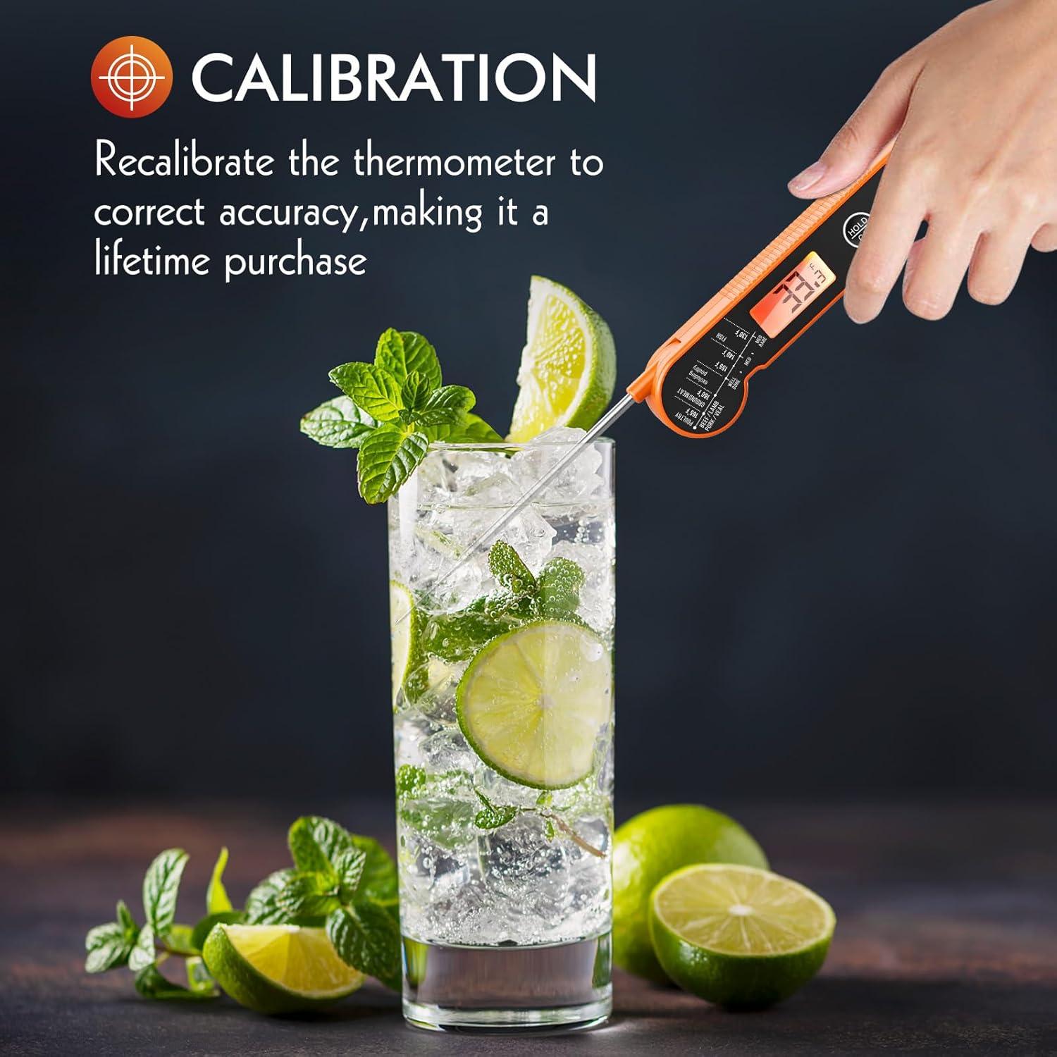 Termómetro Digital de Carne CaloriMastery DT-90 IP65