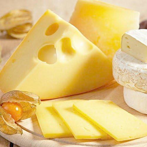 Juego de 4 Cuchillos para Queso YXChome - Acero Inoxidable