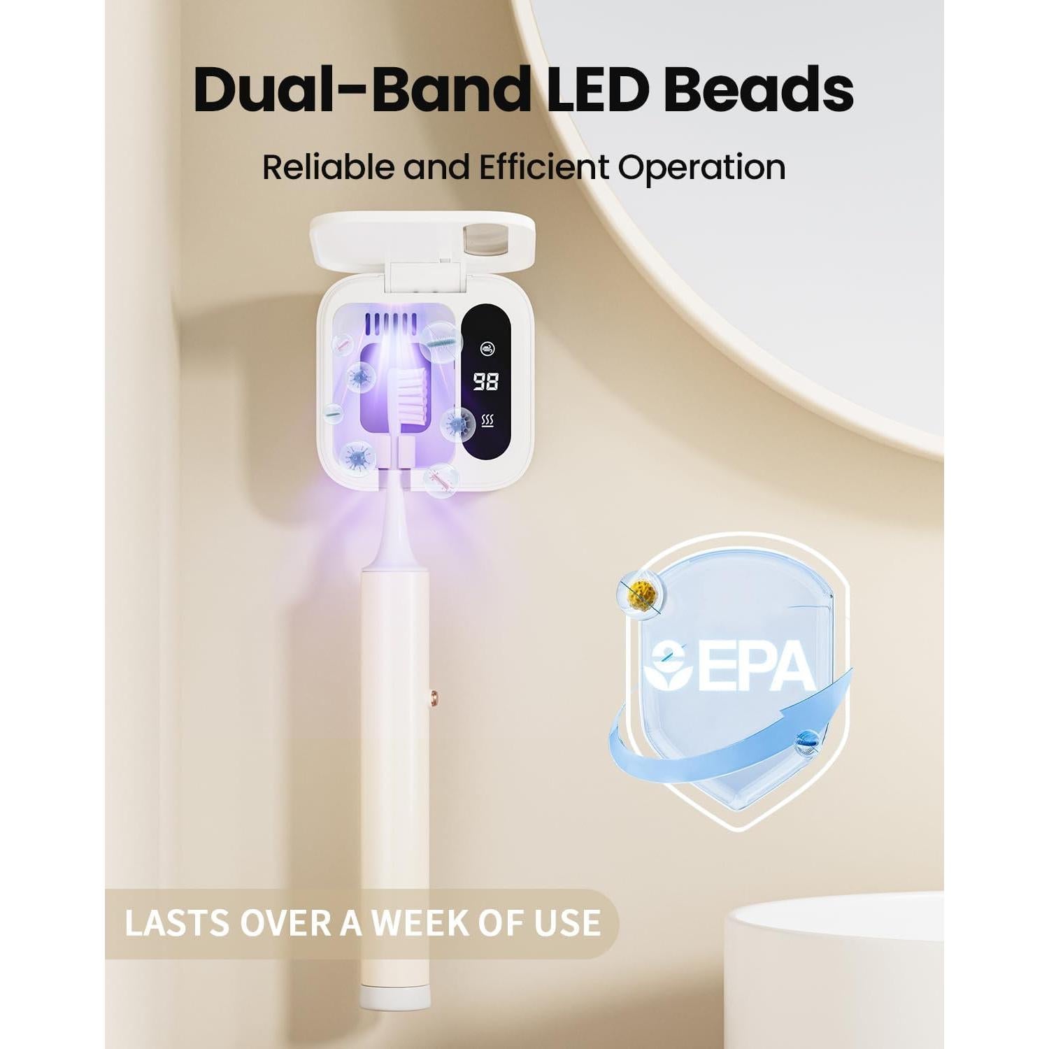 Soporte para Cepillos de Dientes Eléctricos House Gem Y8