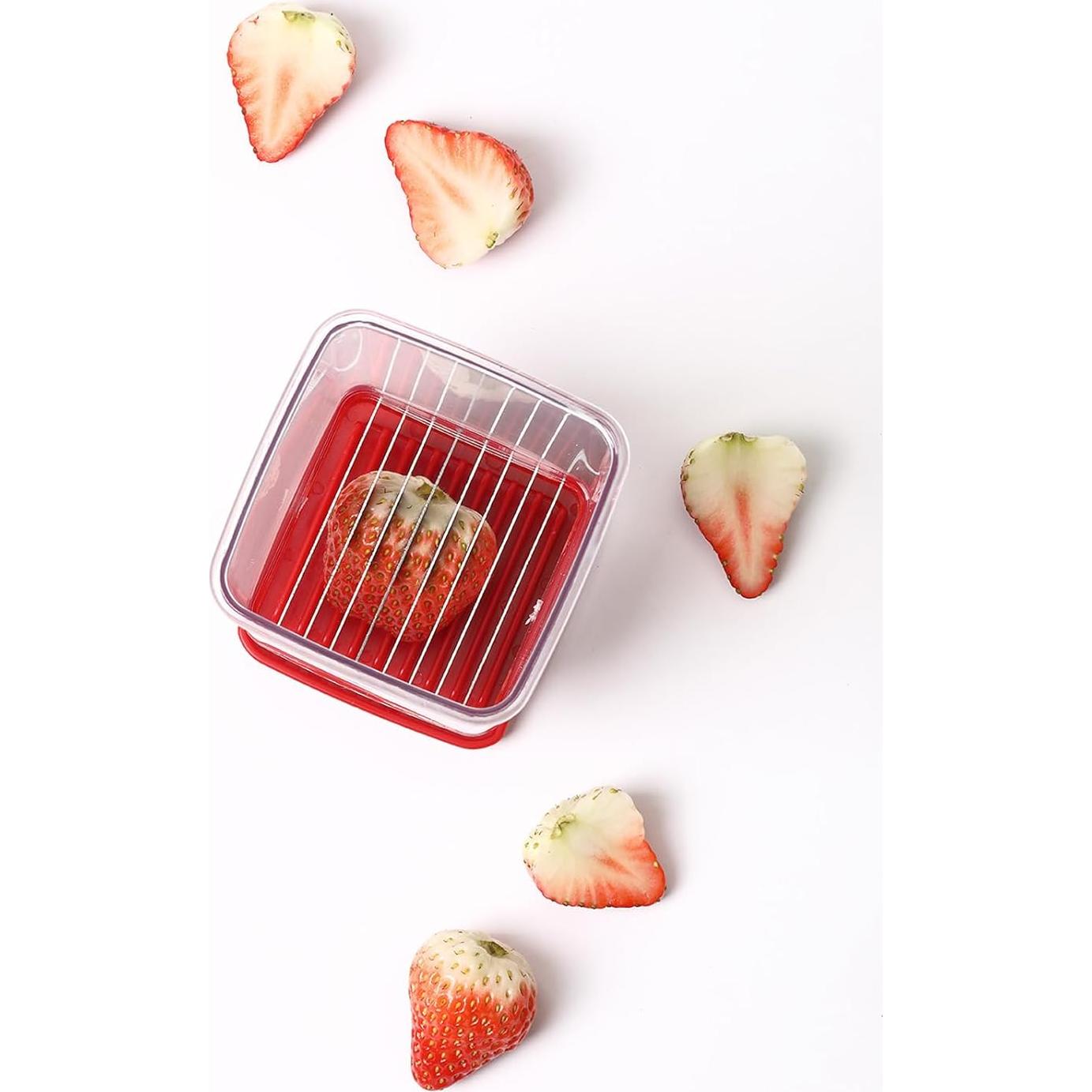 Cortadores de Taza Multifuncionales Edgnb - 3 Piezas