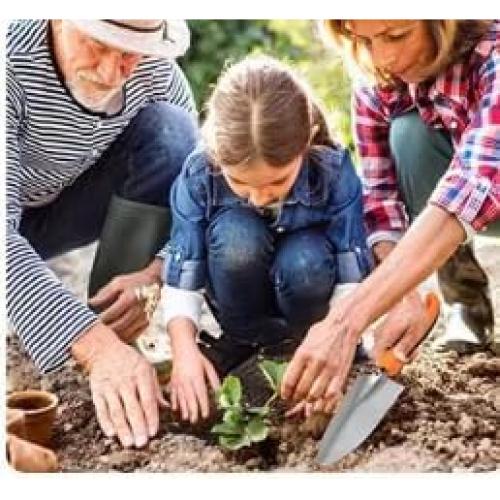 Juego de Herramientas de Jardinería 8 Piezas Handong