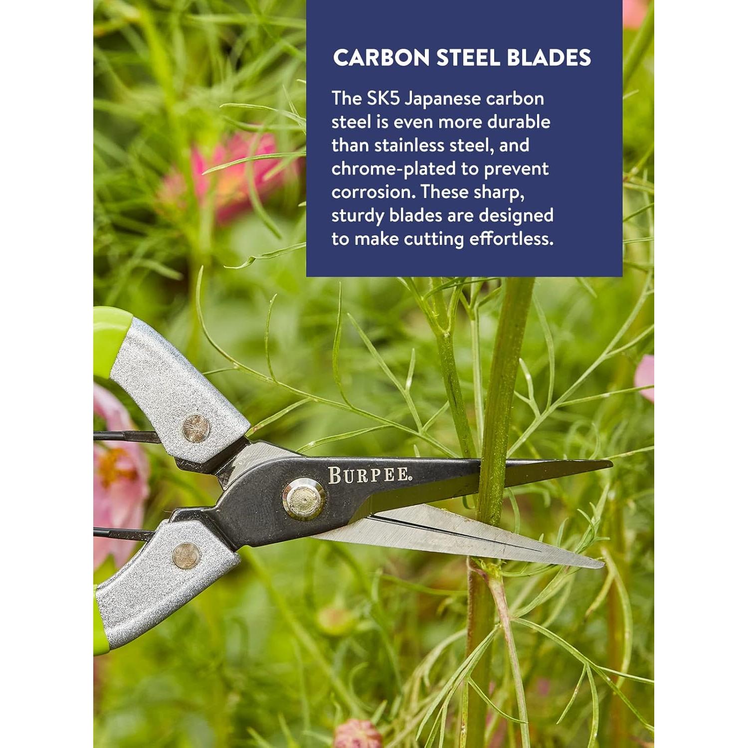 Tijeras de Jardín de Poda Burpee CR725 - Acero al Carbono