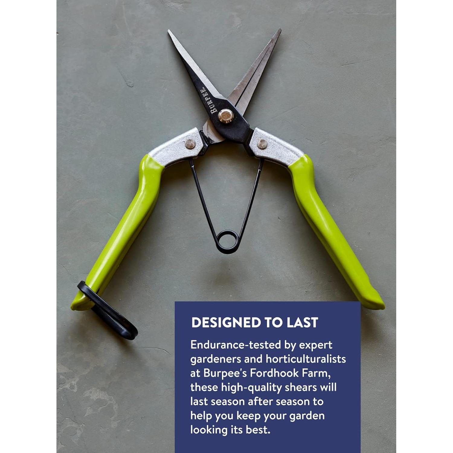 Tijeras de Jardín de Poda Burpee CR725 - Acero al Carbono