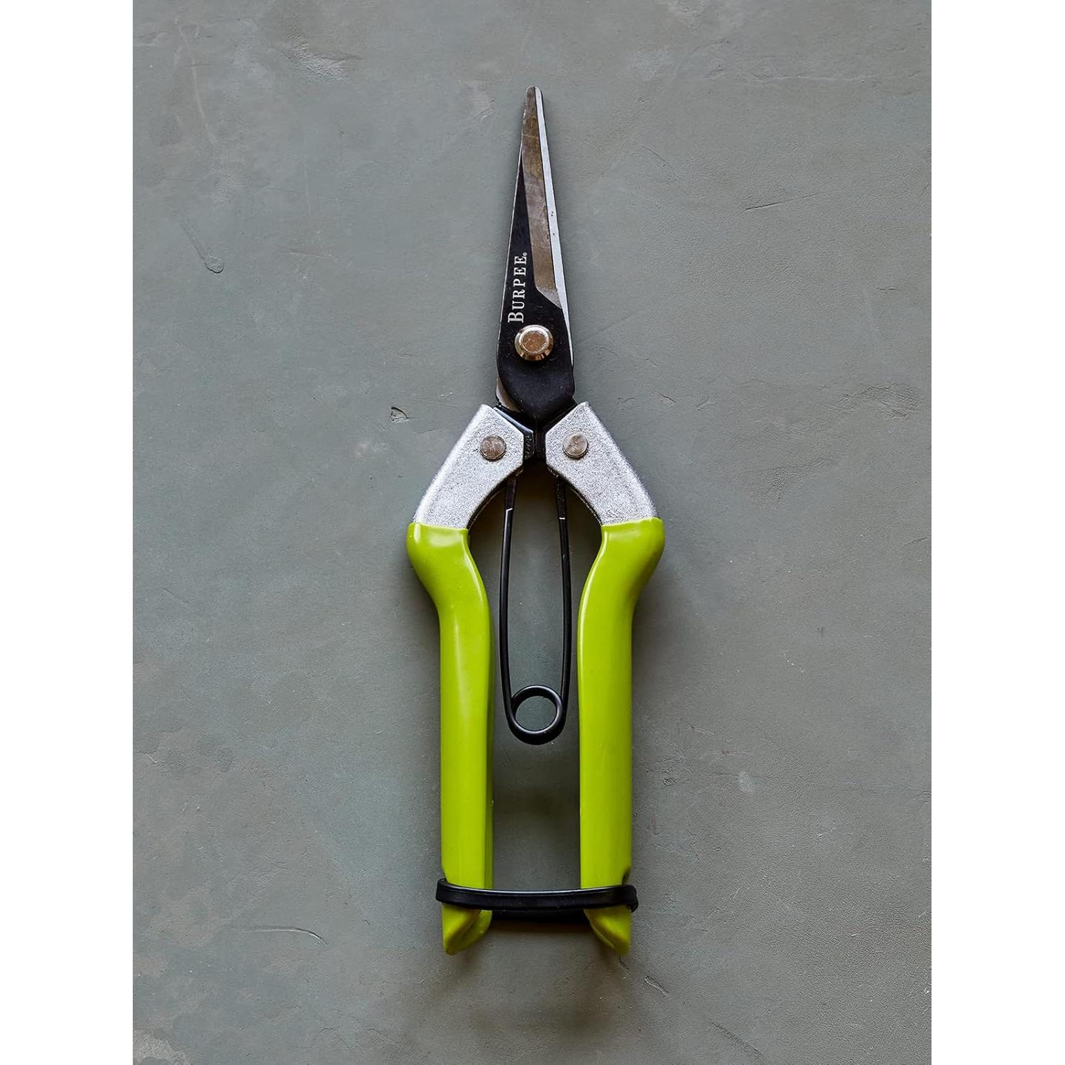 Tijeras de Jardín de Poda Burpee CR725 - Acero al Carbono
