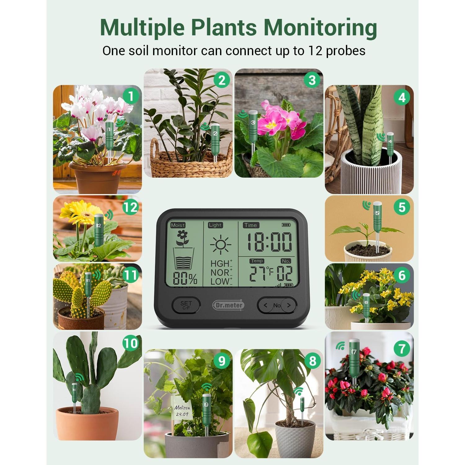 Medidor de Humedad del Suelo Dr.meter 4 en 1 LCD Verde