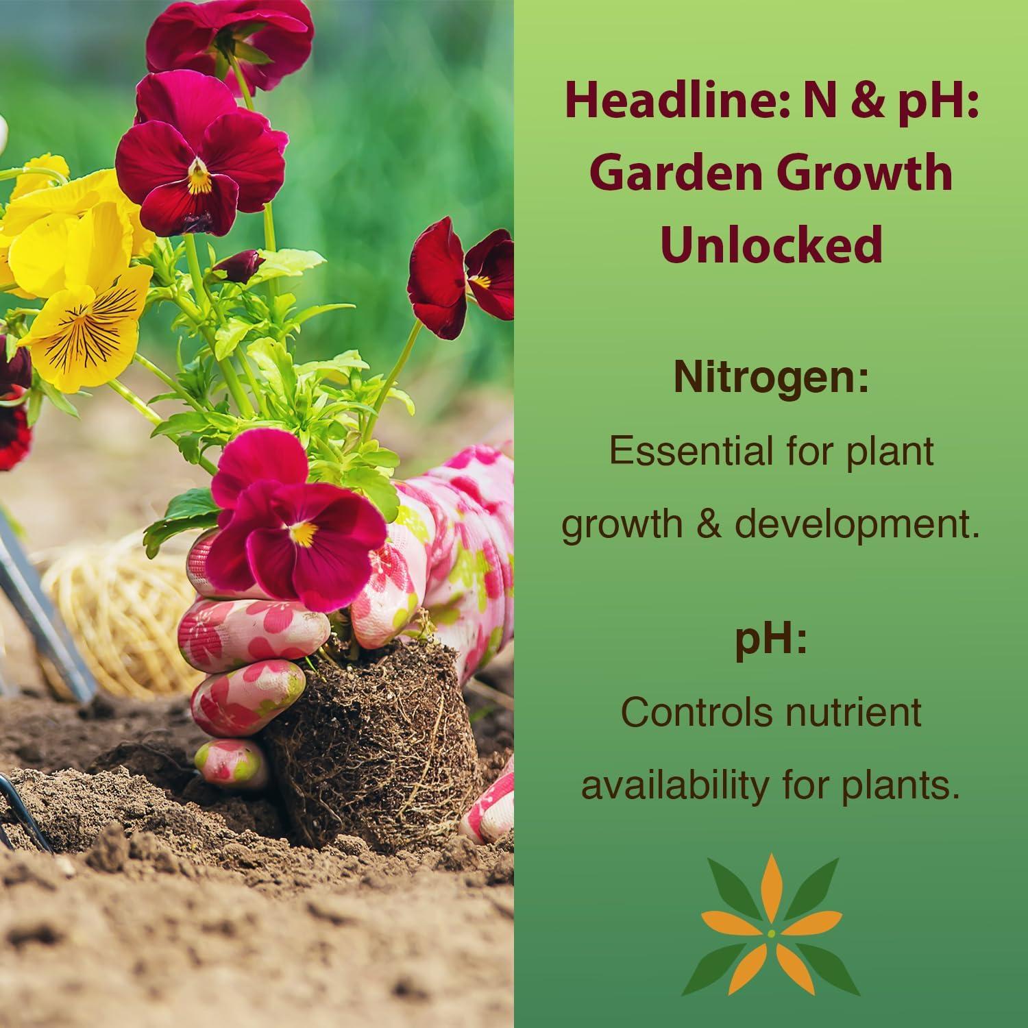 Kit de Prueba de Suelo pH y Nitrógeno Dewilde - 100 Pruebas