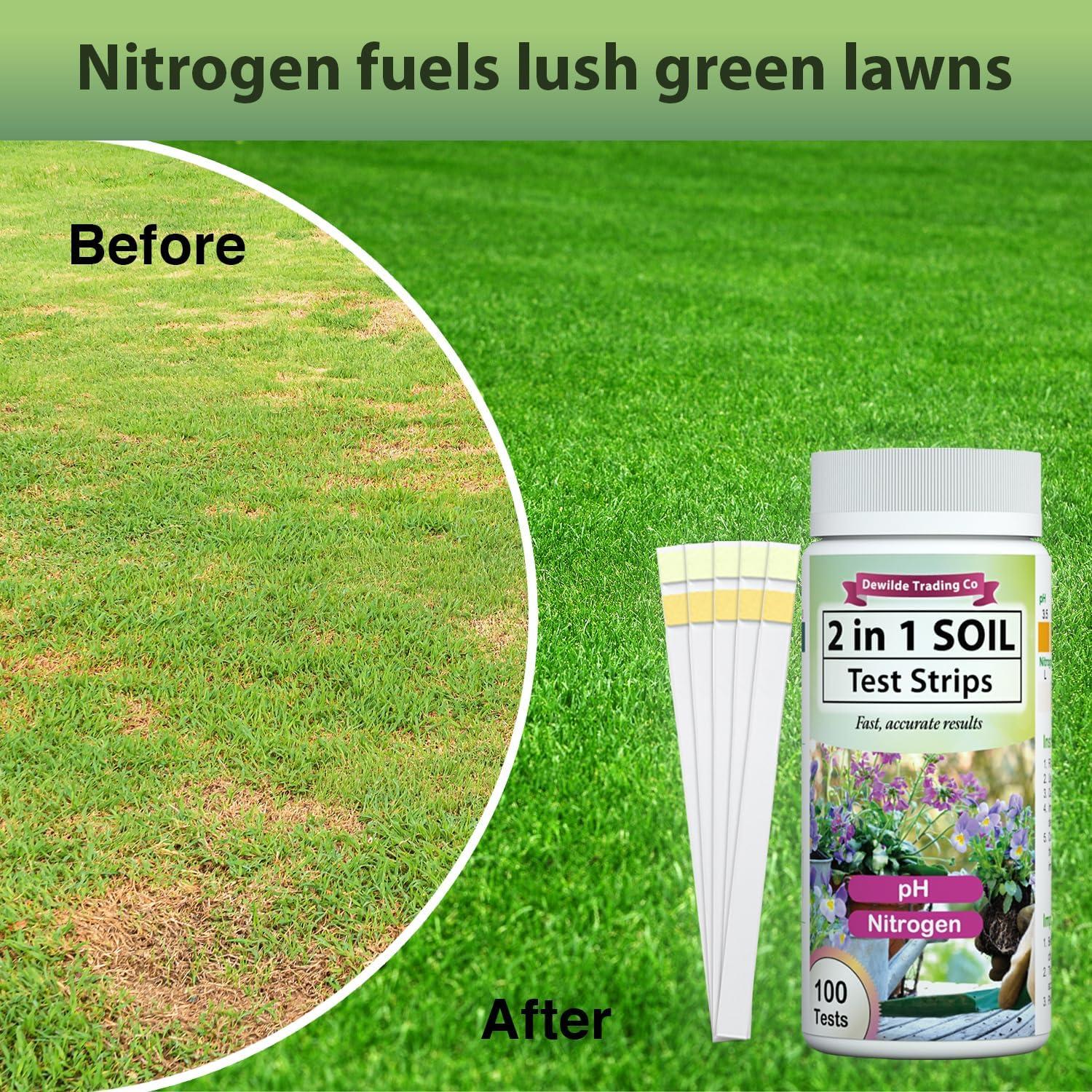 Kit de Prueba de Suelo pH y Nitrógeno Dewilde - 100 Pruebas