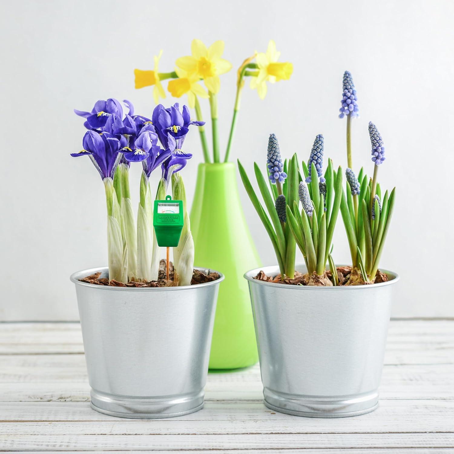 Medidor de Humedad de Suelo Simply Conserve Verde 23.5cm